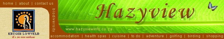 Hazyview Menu
